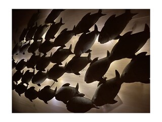 Casa galleggiante Lübeck-Schlutup Registrazione all'aperto 13