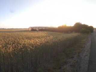 Appartamento per vacanze Heemskerk Ambiente 12