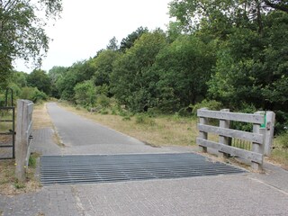 Appartamento per vacanze Heemskerk Ambiente 19