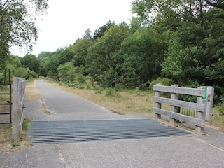 Vakantieappartement Heemskerk Omgeving 19