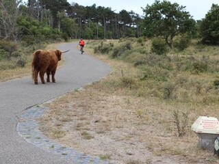 Appartamento per vacanze Heemskerk Ambiente 20