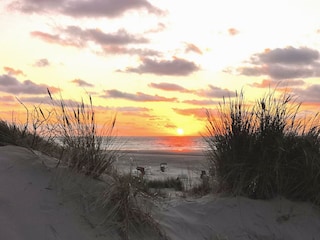 Ferienwohnung Juist Umgebung 19