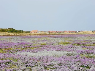 Ferienwohnung Juist Umgebung 20