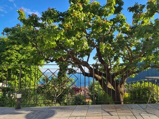 Casa per le vacanze Tignale Registrazione all'aperto 15