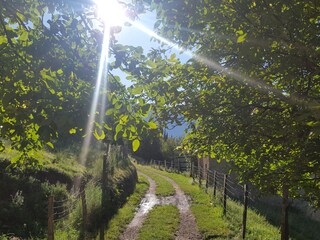 Casa per le vacanze Tignale Ambiente 18