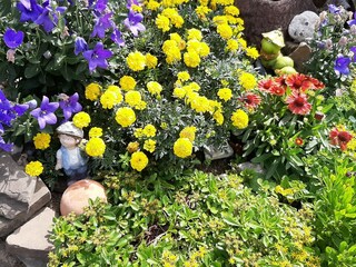 Appartamento per vacanze Bergisch Gladbach Ambiente 22