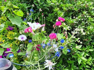 Appartamento per vacanze Bergisch Gladbach Ambiente 24