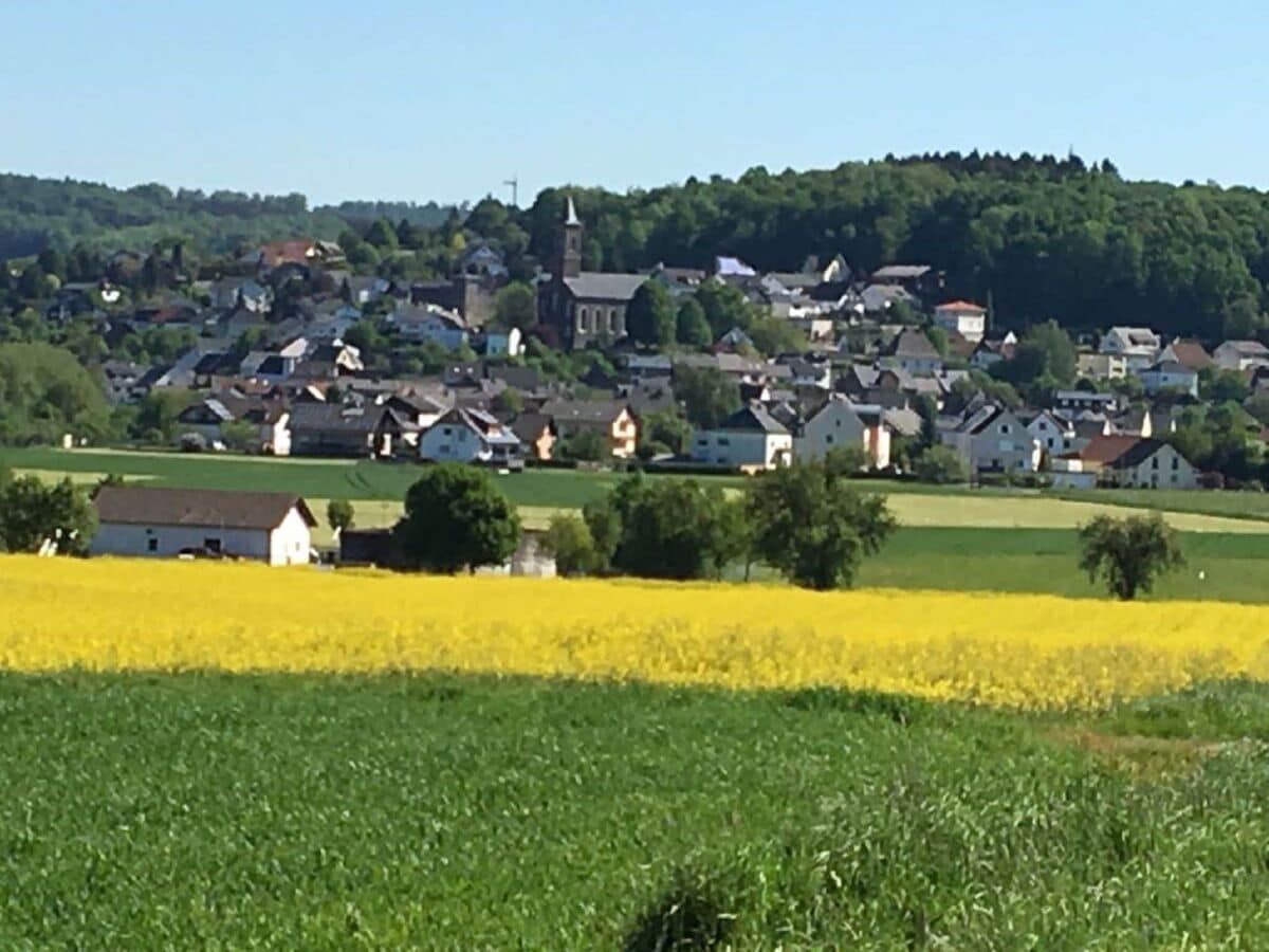 Apartment Waldbrunn (Westerwald) Umgebung 4