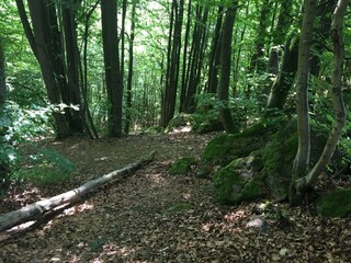 Apartment Waldbrunn (Westerwald) Environment 30