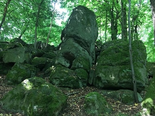 Appartement Waldbrunn (Westerwald) Environnement 15