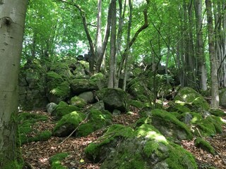 Appartement Waldbrunn (Westerwald) Environnement 23
