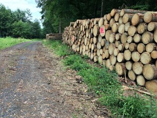 Appartamento Waldbrunn (Westerwald) Ambiente 18