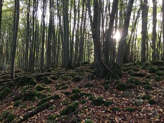 Appartamento Waldbrunn (Westerwald)  33