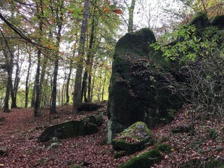 Appartement Waldbrunn (Westerwald)  34