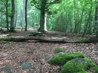 Appartement Waldbrunn (Westerwald) Environnement 26