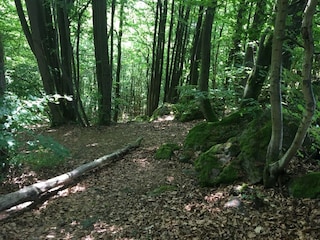 Appartement Waldbrunn (Westerwald) Environnement 28