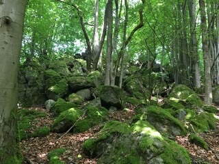 Appartamento Waldbrunn (Westerwald) Ambiente 27