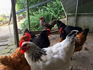 Appartamento Waldbrunn (Westerwald)  34