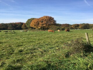 Appartamento Waldbrunn (Westerwald) Ambiente 21