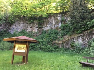 Appartement Waldbrunn (Westerwald) Environnement 30