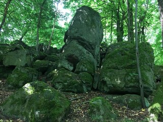 Apartment Waldbrunn (Westerwald) Environment 30