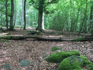 Apartment Waldbrunn (Westerwald) Environment 31