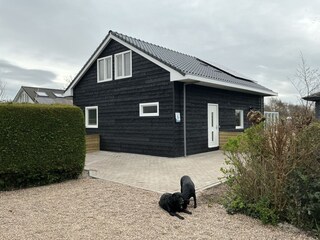 Appartamento per vacanze Julianadorp Registrazione all'aperto 1