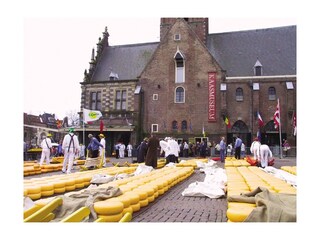 Appartamento per vacanze Julianadorp Ambiente 26