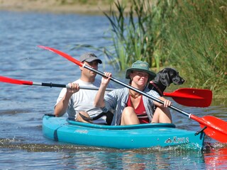 Vakantieappartement Julianadorp Omgeving 12