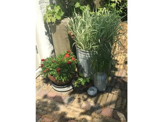 Appartamento per vacanze Oudeschild Registrazione all'aperto 9