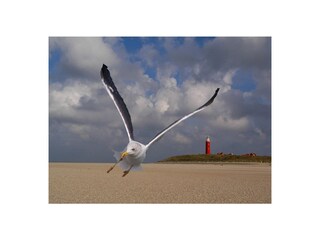 Appartamento per vacanze Oudeschild Ambiente 34