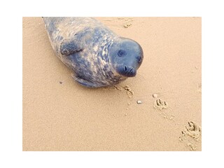 Appartamento per vacanze Oudeschild Ambiente 31