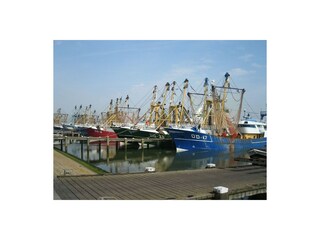 Casa per le vacanze Ouddorp Ambiente 38