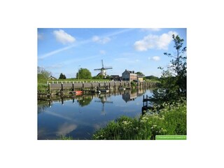 Casa per le vacanze Ouddorp Ambiente 39