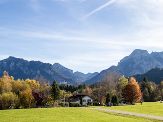 Blick auf Neuschwanstein