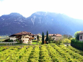 Appartamento per vacanze Margreid an der Weinstraße Registrazione all'aperto 3