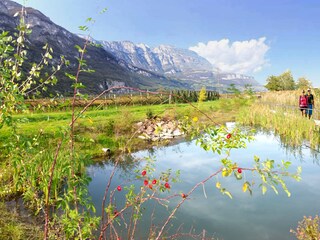 Appartamento per vacanze Margreid an der Weinstraße Ambiente 20