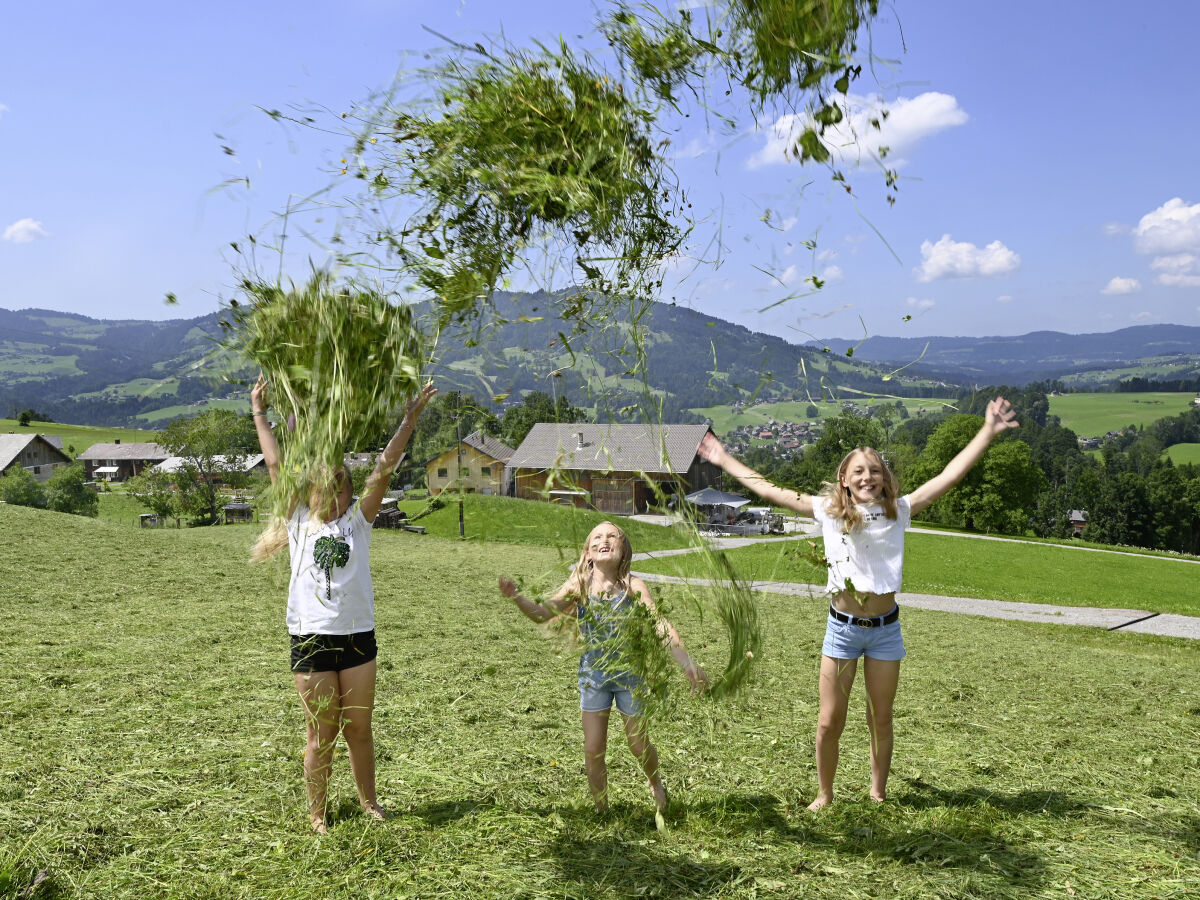 Vakantieappartement Egg in Vorarlberg Buitenaudio-opname 1