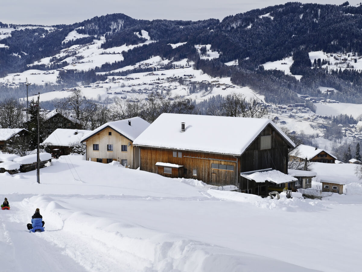 Holiday apartment Egg in Vorarlberg Outdoor Recording 1