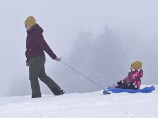 Appartamento per vacanze Egg in Vorarlberg Registrazione all'aperto 9