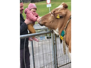 Appartamento per vacanze Egg in Vorarlberg Ambiente 29