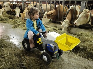 Appartamento per vacanze Egg in Vorarlberg Registrazione all'aperto 5