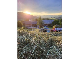 Appartamento per vacanze Egg in Vorarlberg Ambiente 36