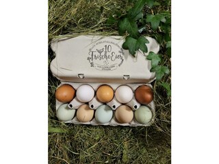 Appartamento per vacanze Egg in Vorarlberg Ambiente 31