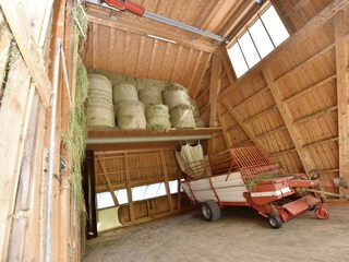 Appartamento per vacanze Egg in Vorarlberg Ambiente 37