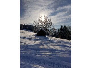 Appartamento per vacanze Egg in Vorarlberg Registrazione all'aperto 11