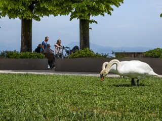 Appartamento Moniga del Garda Ambiente 29