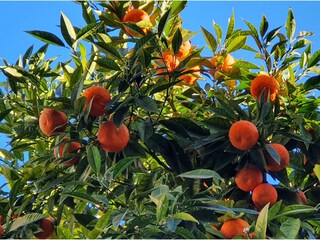 Appartamento Moniga del Garda Ambiente 32