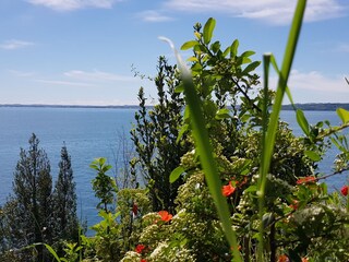 Appartamento Moniga del Garda Ambiente 33