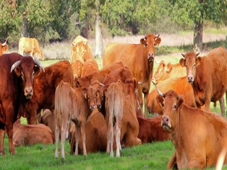 Maison de vacances Saint-Solve Environnement 34